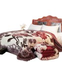 A soft and thick warm fleece blanket
